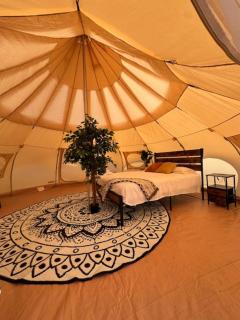 Prairie Junction Glamping Tent - 2