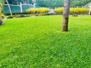 The Kings Villa - 4