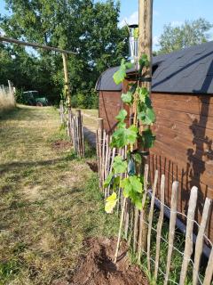 Weinbergsauna - 6