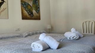 Quiet PINE WALK apartment 20m from the beach - 5