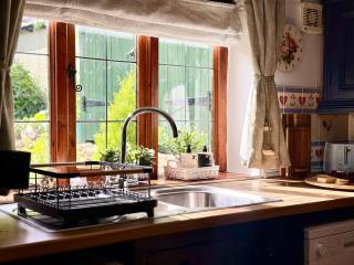 Wind in the Willows - 4