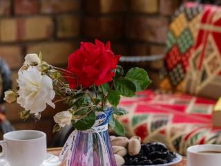 Guest House Eltin - Bokonbayevo - 6