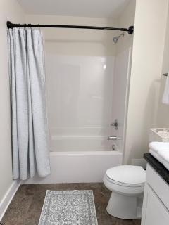 Newly Renovated Downtown Roanoke Apartment with Queen Bed & Private FREE Parking - 4