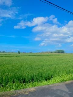 2BR Private Pool Beach Villa Near Sanur & Ubud - Ketewel - 6