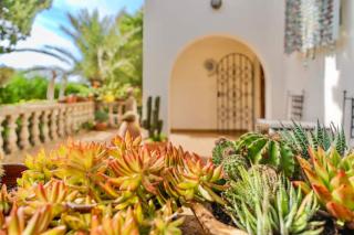 Casa de vacaciones a solo 15m del mar! - 8