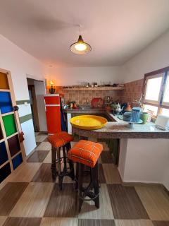 Moga Bloom Apartment - 8