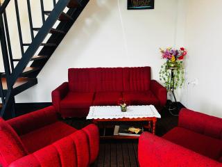 Singho's Cottage - 5