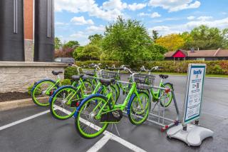 Best Western Plus 1000 Islands Hotel & Suites- Newly Renovated - 7