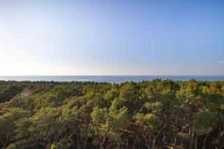 Sea Haven of Peace - by the beach - 5