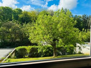 Work & Family Comfort in Heidingsfeld - 1