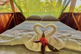 Casa Aire Libre - Jungle immersion - Natural pool - Waterfall - Puerto Jiménez - 8