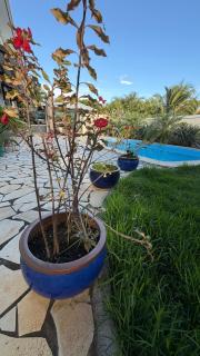 Blue Heaven2 Welcomes All with Luminous islet view Sauna Salt Pool Garden Jacuzzi - La Gaulette - 0