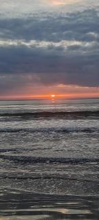 Arvis - 9