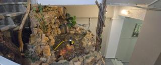 Artisti Elena Thalassa Golden Suites 4 - 3