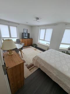 Gemütliche helle 1 Zimmer Ferienwohnung in Bramsche - 8