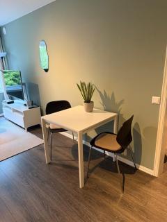 Apartment near Gardermoen and downtown with parking and view over the creek in the garden - 4