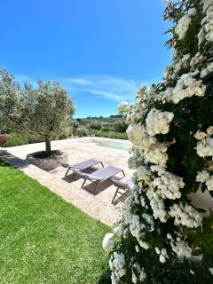 Ostuni Cervarolo Villa 3 bedrooms Pool Olive Grove near the Sea - 2