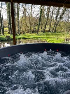 Chalet dans la nature avec spa - 8