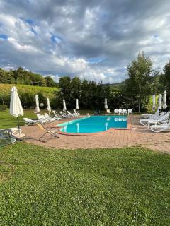 Spacious home with pool and vineyard views close to Greve in Chianti - 8