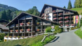 Alpenlandhof - Bad Kleinkirchheim - 9