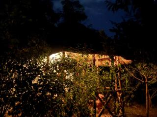 Podocarpus cottages - 6