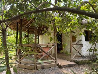 Podocarpus cottages - 3