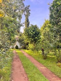 Podocarpus cottages - 2