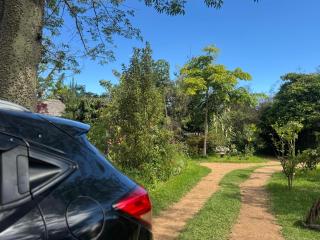 Podocarpus cottages - 4