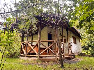 Podocarpus cottages - 9