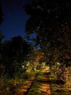 Podocarpus Cottages -02 - Naro Moru - 8