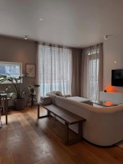 New Apartment in Central Reykjavík - 0