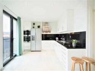 Lodge apartment in centre of Antwerp - 2