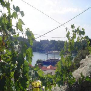 Apartments Ana Old Town - Cavtat - 7