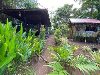 Loh jinawi Guest House Bunaken - 7