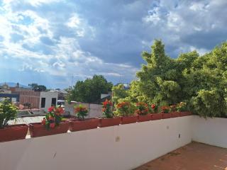 comfortable, spacious, central with a pool and terrace - 9