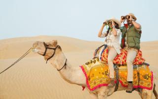 Surya Bagh Luxury Desert Camp - 8
