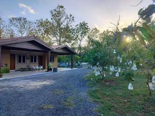 Dkebun Harumanis Homestay - 1