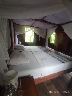 Alaya Ecolodge - 3