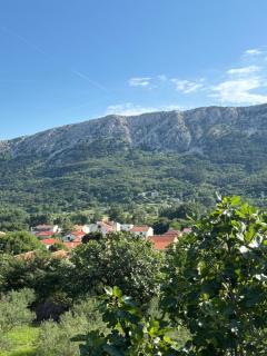 Oliva Relax - 5
