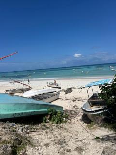 Dolphin Paradise Kizimkazi Mkunguni, Zanzibar - Usine - 3