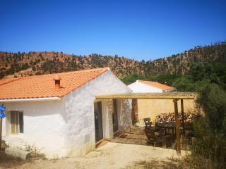 New built studio, in nature close to the beach - 3