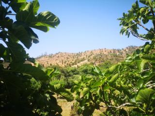 New built studio, in nature close to the beach - 8