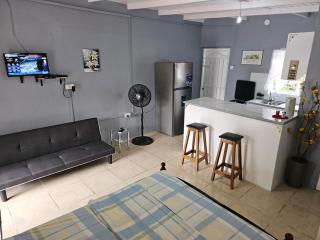 Rental Unit & Apartment Suites - 4