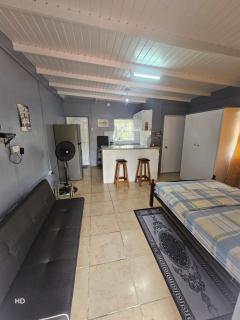 Rental Unit & Apartment Suites - 2