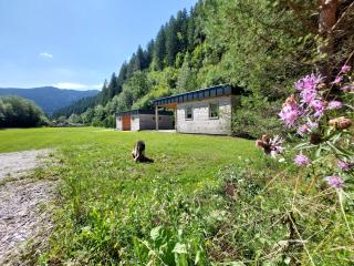 Camp ŠMICA - 9