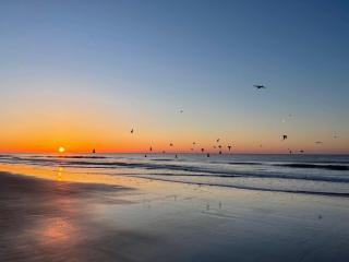 Oceanfront Villa, Pool, Beach, Sleeps 5 - 9