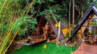 Taro River Resort - 0