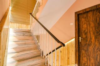 The Golden Orchid - 1