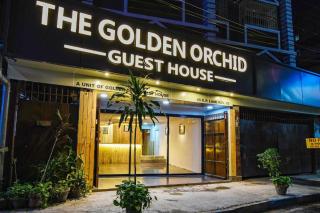 The Golden Orchid - 9