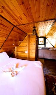 Dana luxury huts - 9